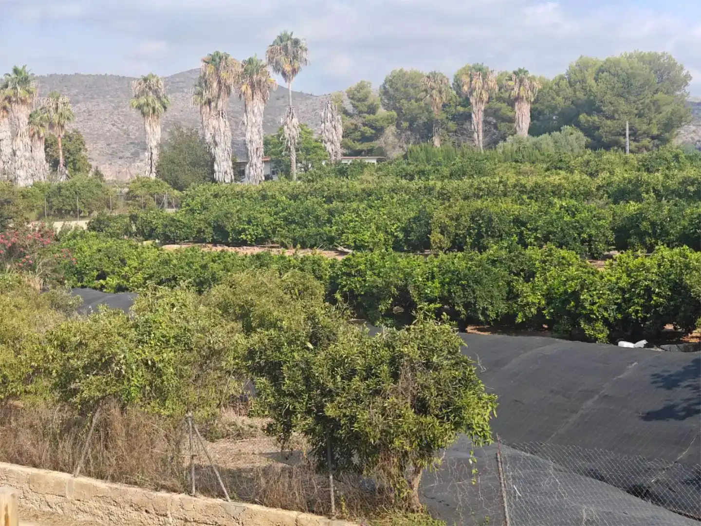 Piso en venta en Gandia con Jardín privado y Amueblado