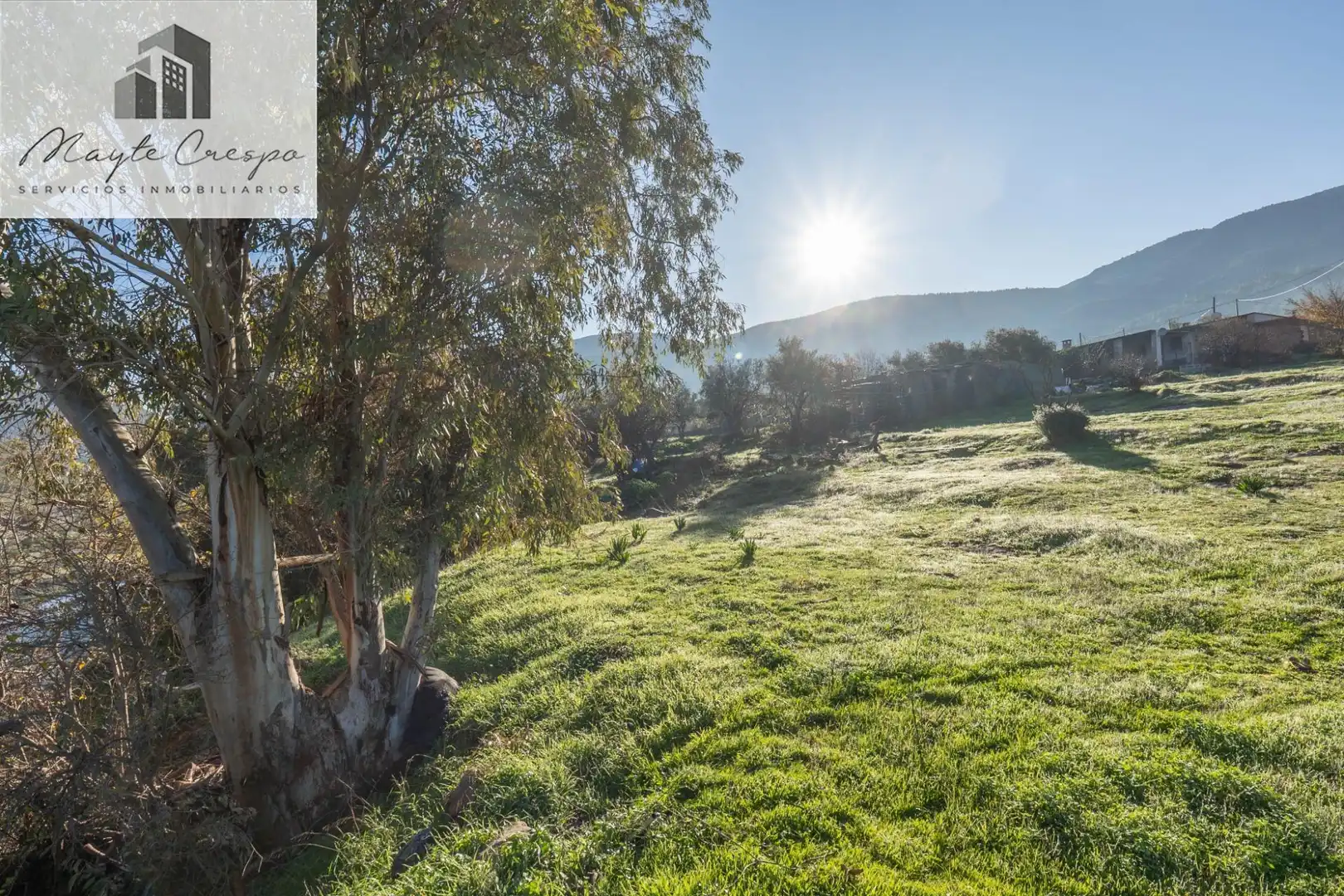 Rural land for sale in Órgiva, imagen 16