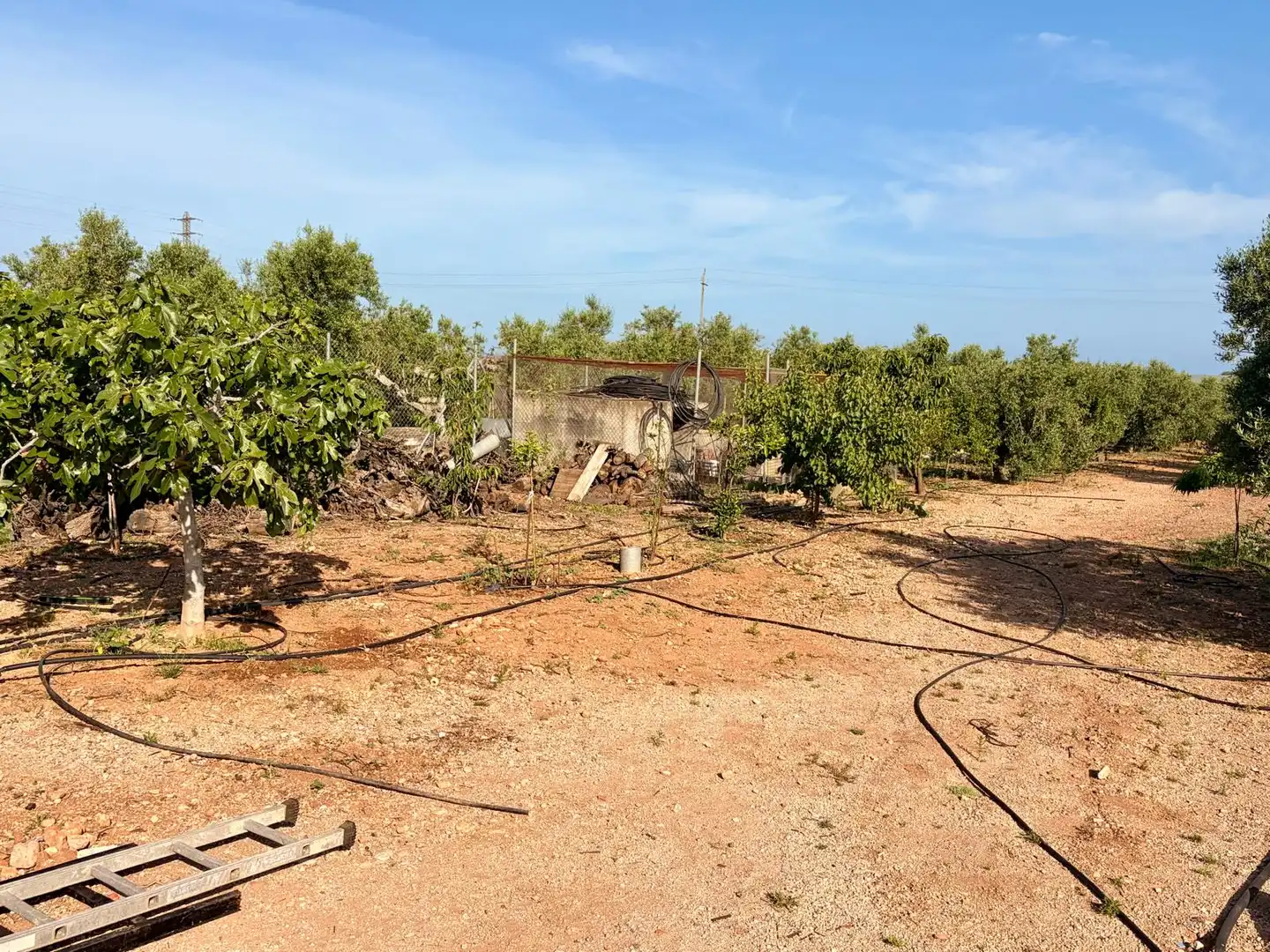 Finca rústica en venda en Mont-roig del Camp amb Calefacció i Jardí privat