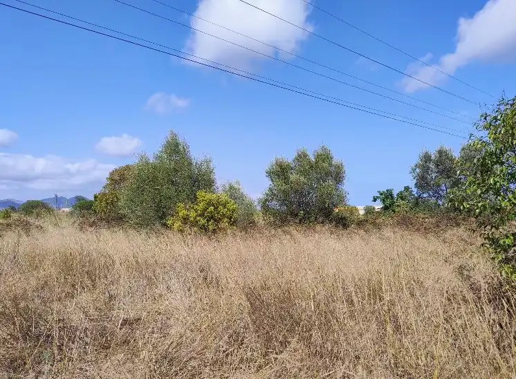 Terreno rustico in vendita a Este, imagen 5