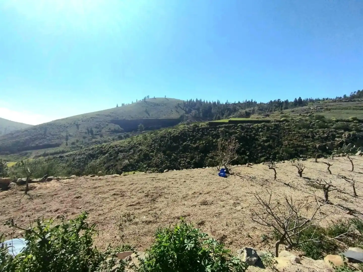 Residencial en venta en Vilaflor de Chasna