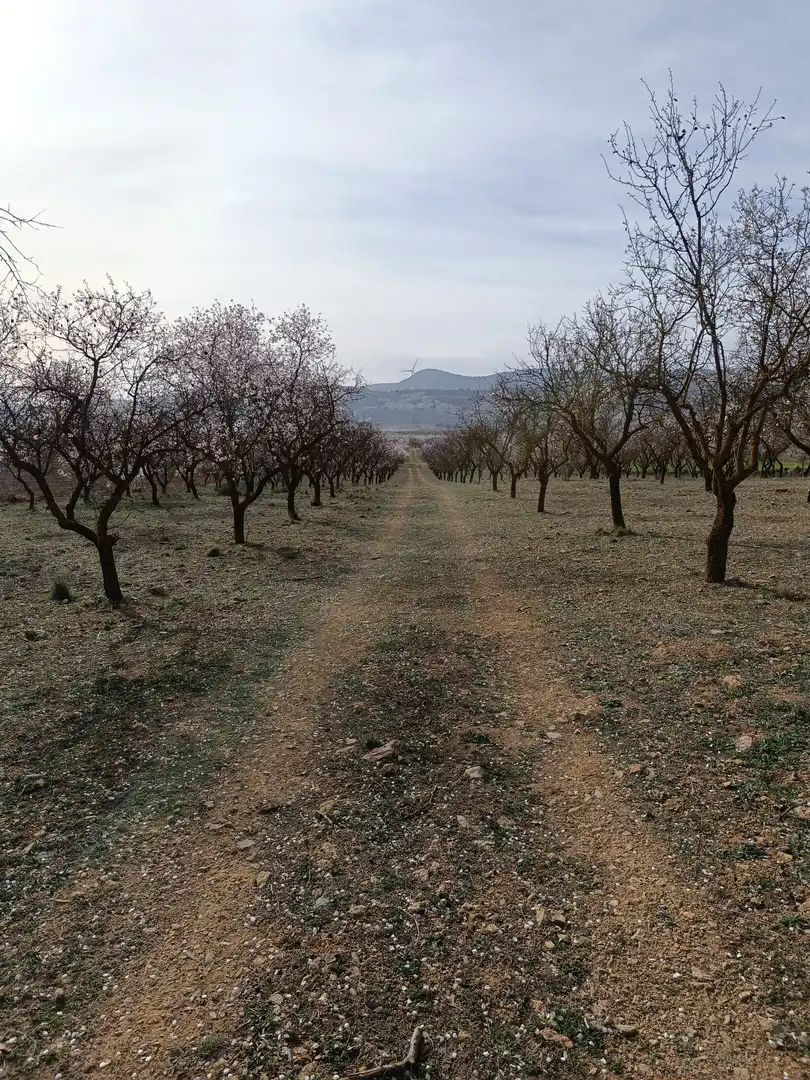 Rustikales Grundstück zum Verkauf in Avenida de Andalucía, imagen 3