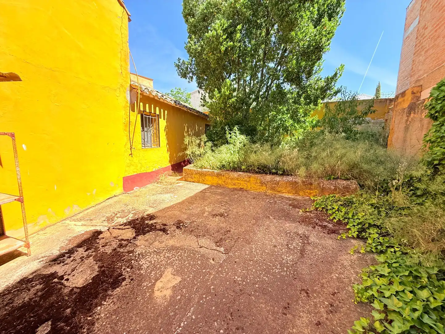 Vista exterior de Finca rústica en venta en Archidona