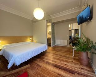Flat to share in Amara Zaharra - Arbaizenea
