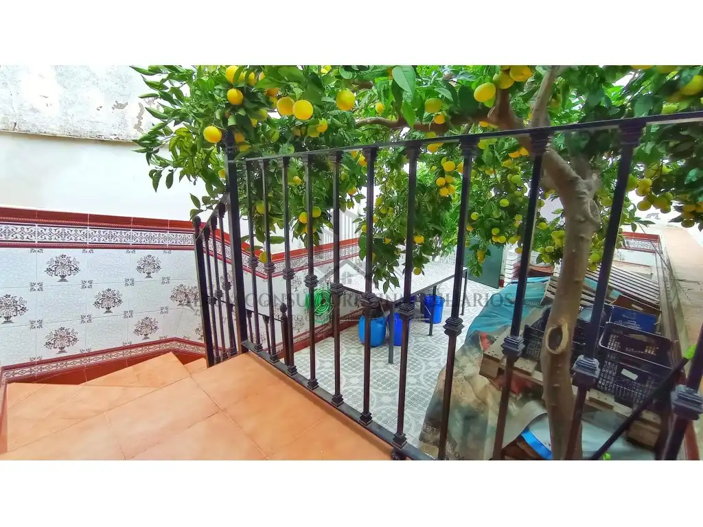 Jardín de Casa o chalet en venta en El Pedroso