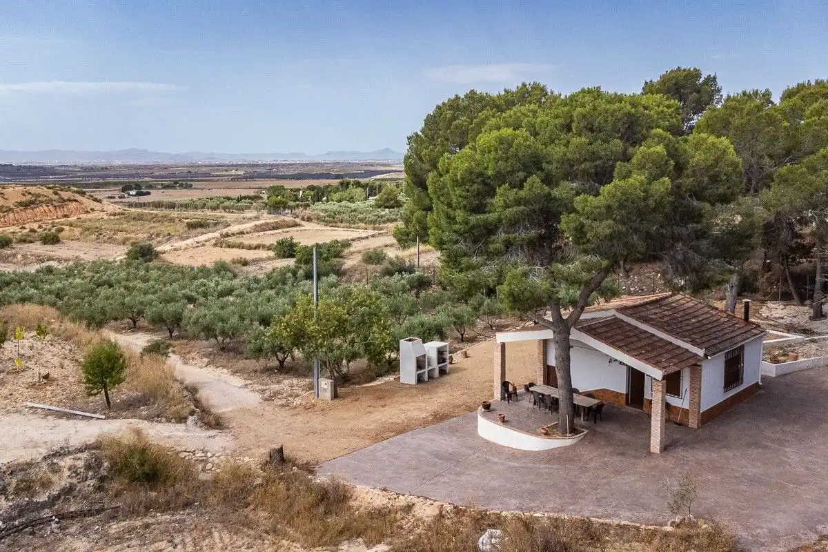 Jardí de Casa o xalet en venda en Murcia amb Calefacció, Jardí privat i Terrassa