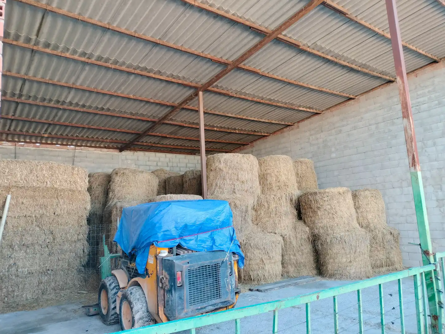 Rural land for sale in Sueca ciudad, imagen 2