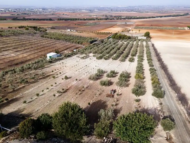 Chalet con jardín en venta en El Cuervo de Sevilla, imagen 19