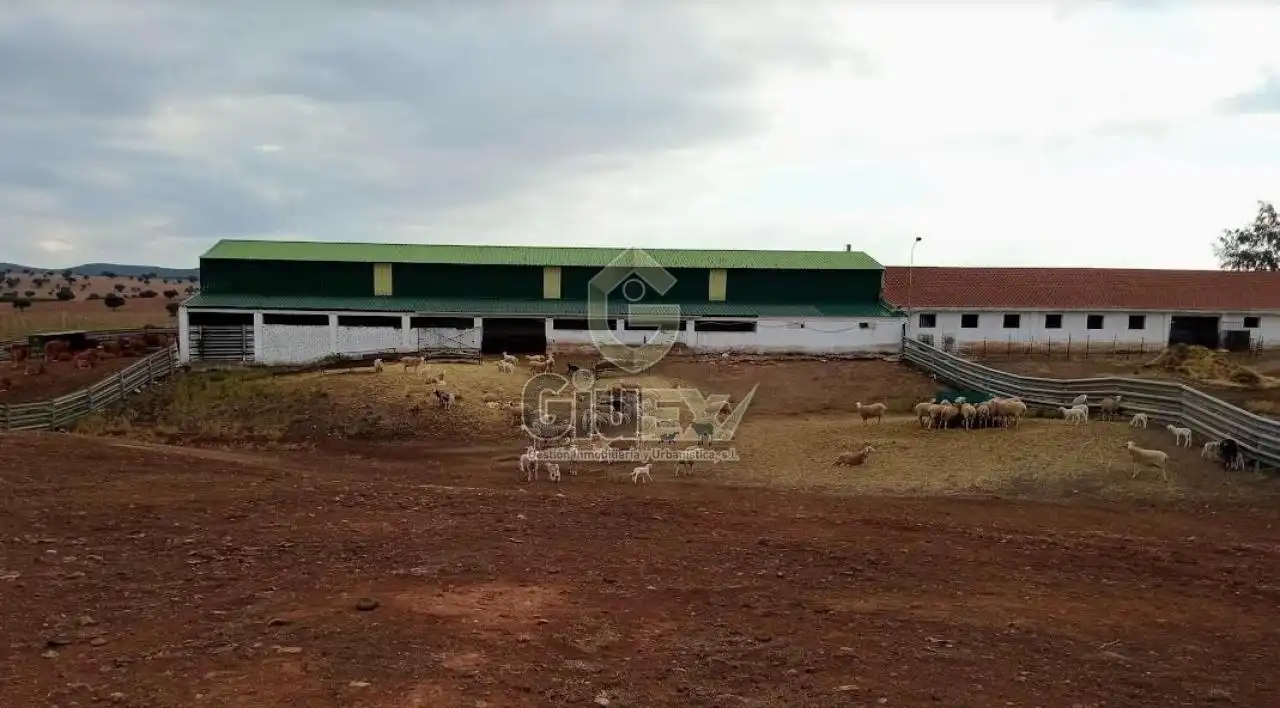 Exterior view of Land for sale in Los Pozuelos de Calatrava  