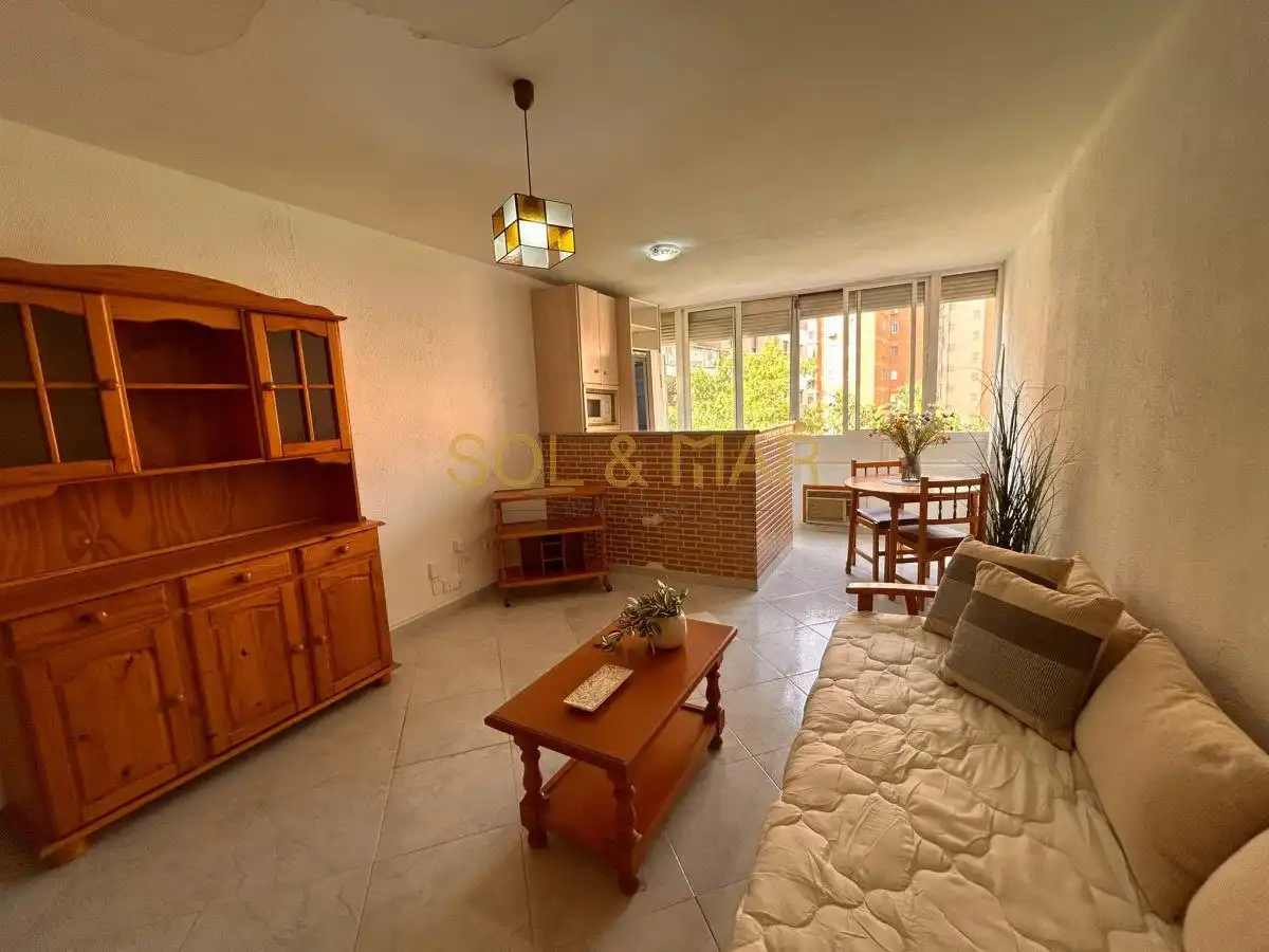 Sala d'estar de Estudi en venda en Torremolinos amb Aire condicionat i Calefacció