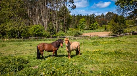 Foto 3 de Casa o xalet en venda a Pol, Lugo