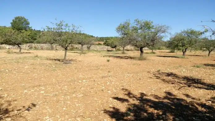 Rustikales Grundstück zum Verkauf in Pt Canaleja, imagen 8