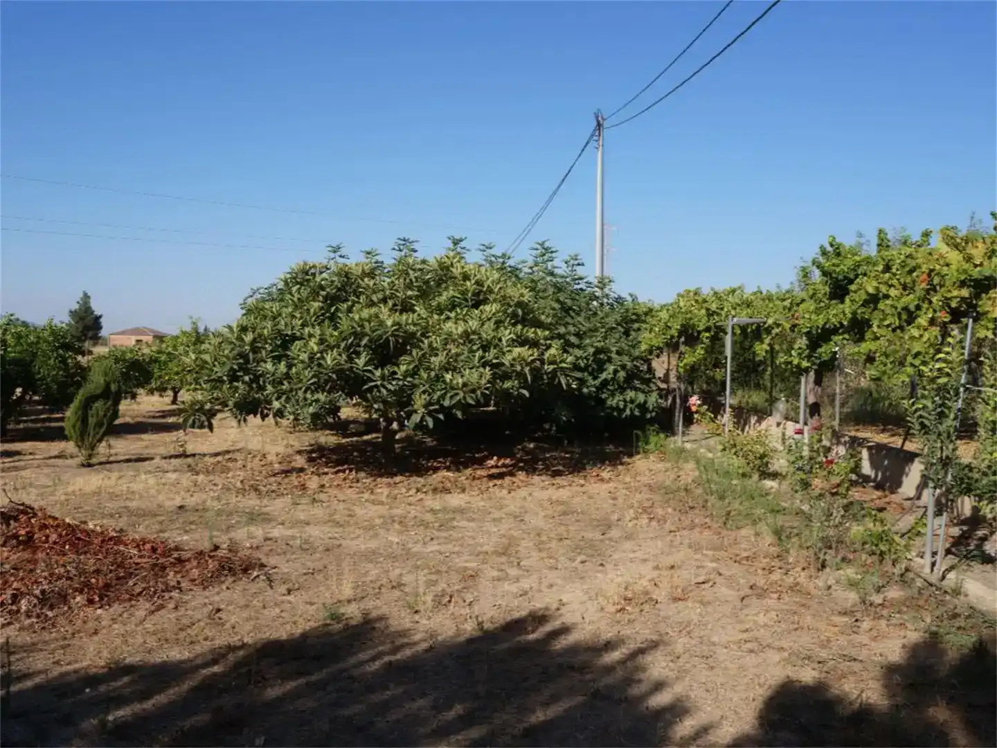 Finca rústica en venda en  Murcia Capital amb Aire condicionat i Piscina