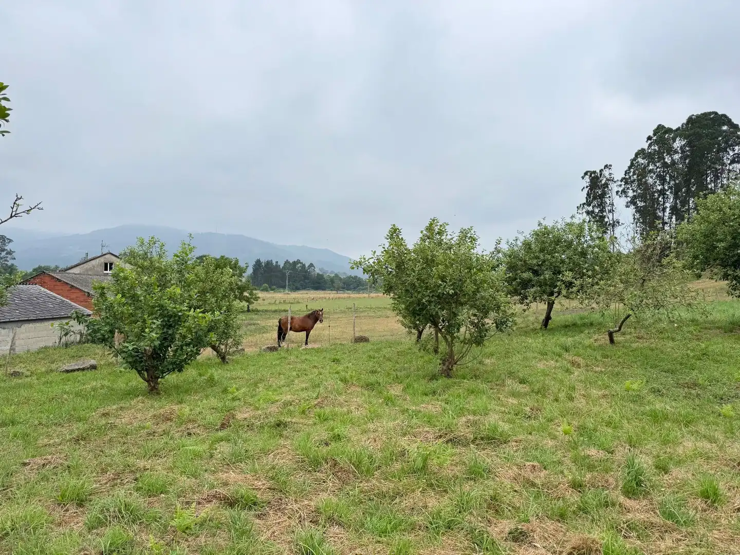 Residential for sale in Alfoz