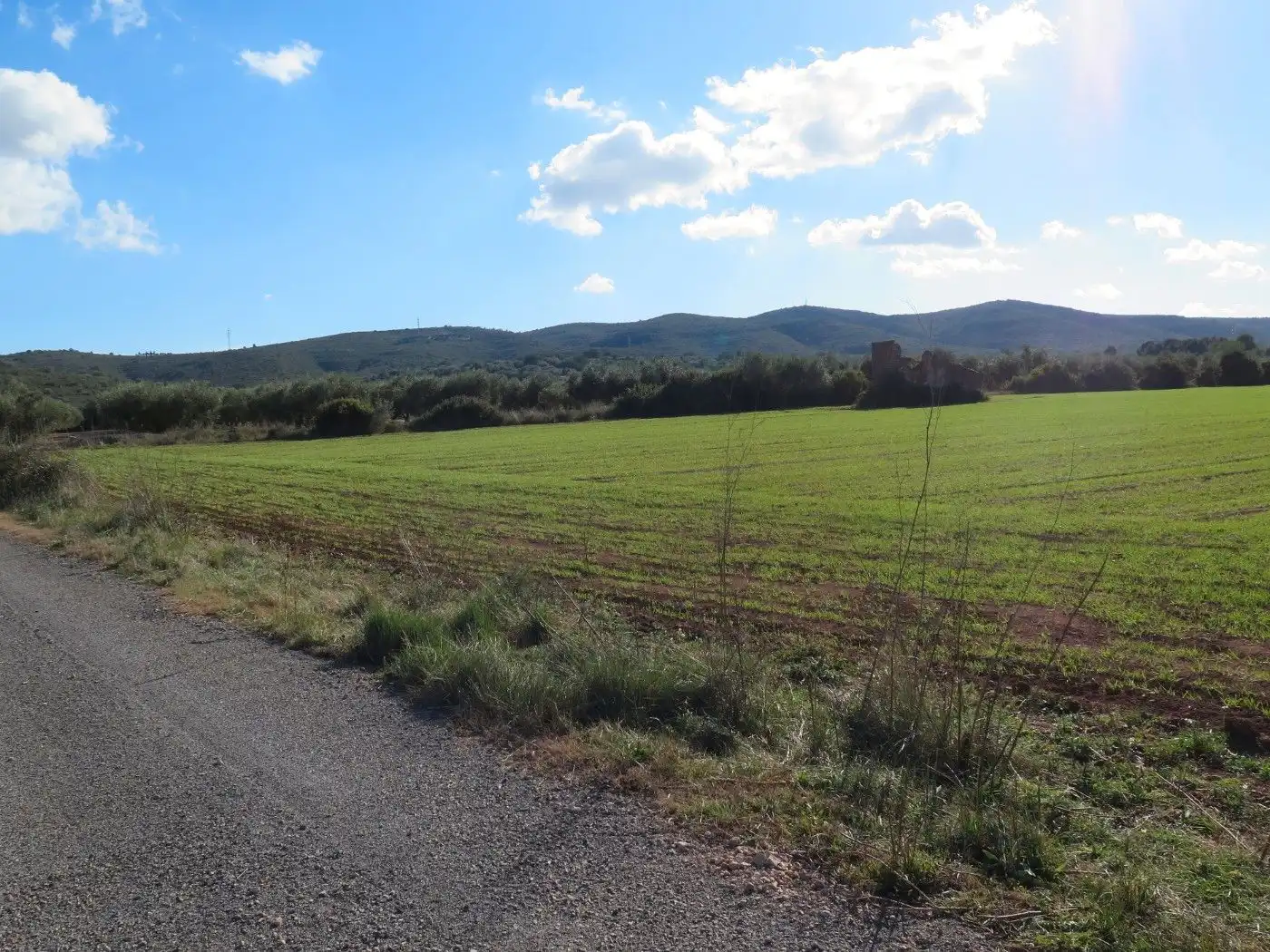 Rural land for sale in Godall, imagen 5