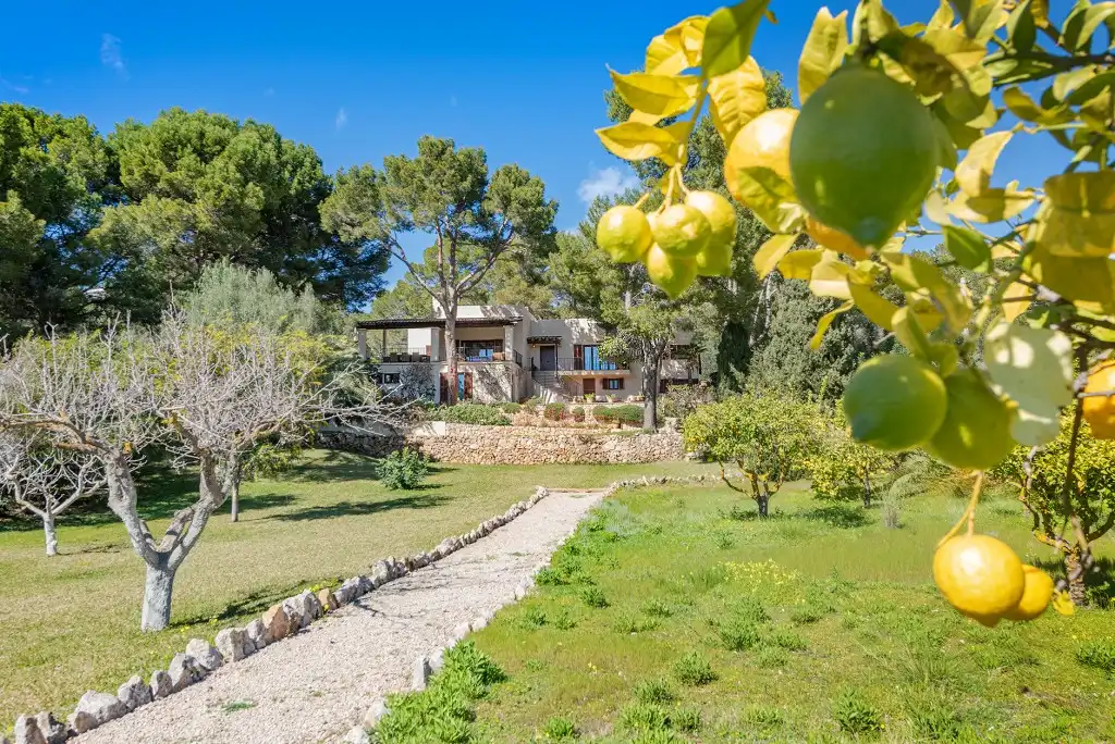 Chalet con terraza en venta en Port d'Andratx, imagen 22