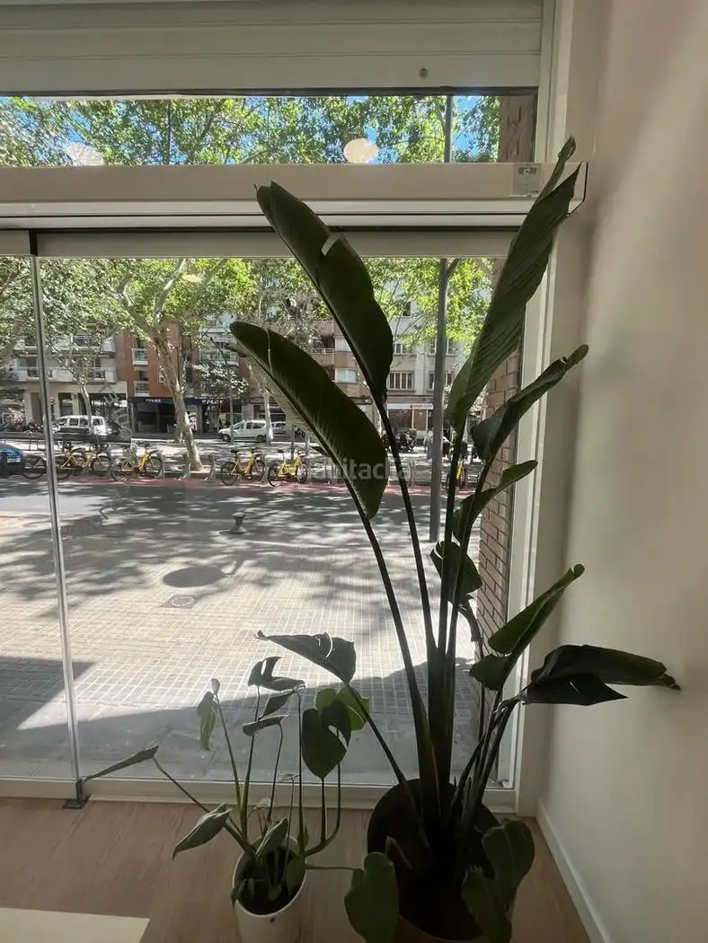 Office space to rent in Passeig de Prim 25A, imagen 5