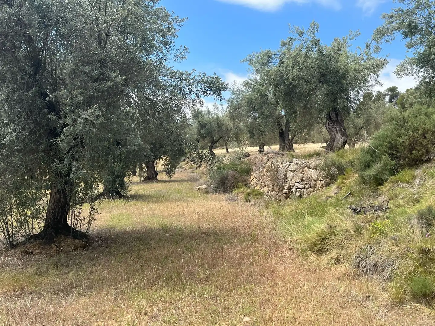Terreni e lotti in vendita a Cretas, imagen 5