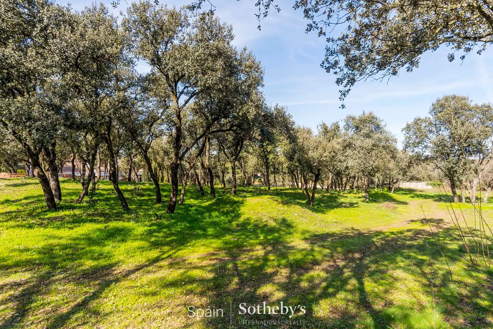 Terreno residencial en venta en Calle de Guecho, imagen 44