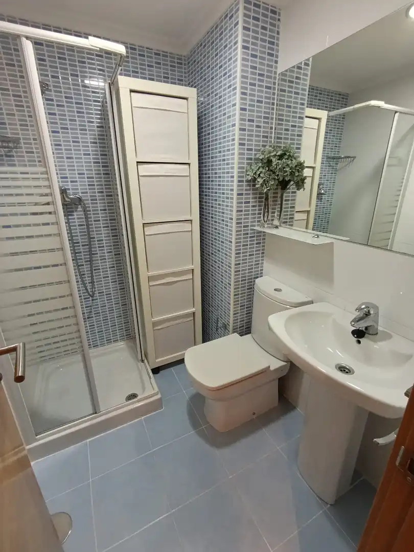 Bathroom of Flat for rent in Santander  with Heating, Storage room and Furnished