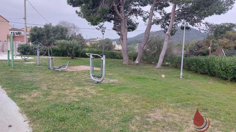 Santa OlivaTerreno, imatge 2