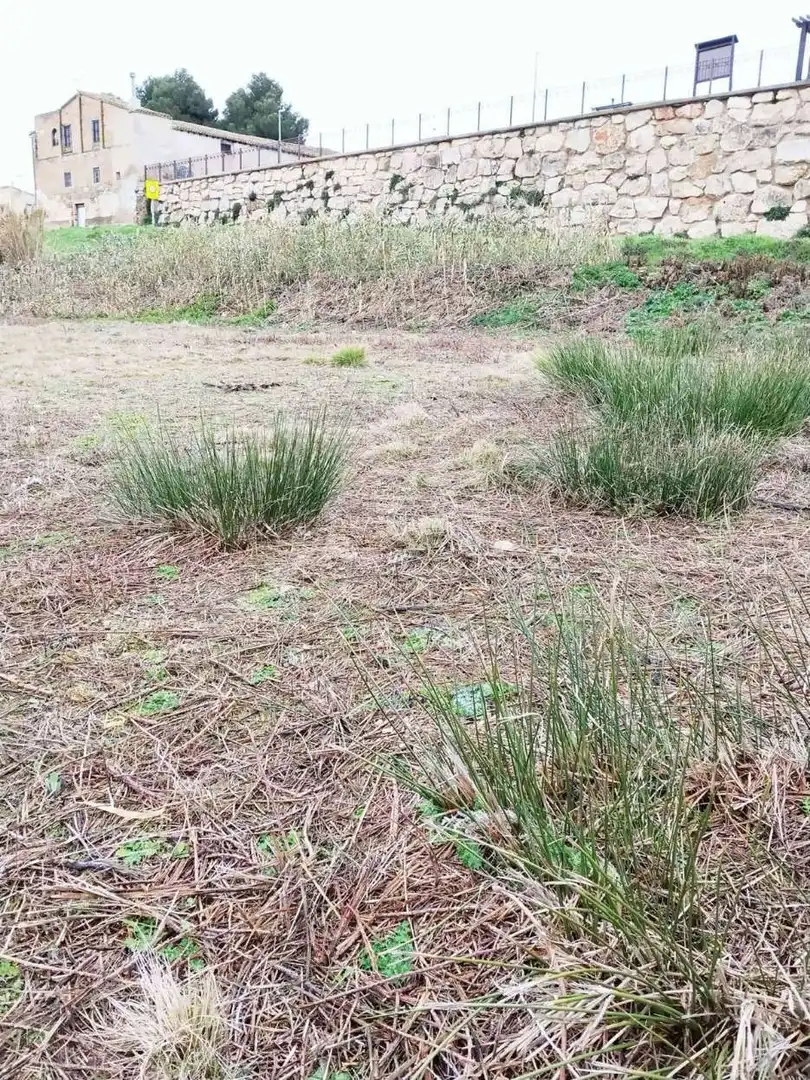 Terreno en venta en Fontellas