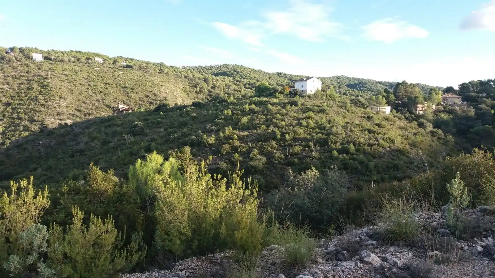 Casa o xalet en venda a Albalate de Zorita
