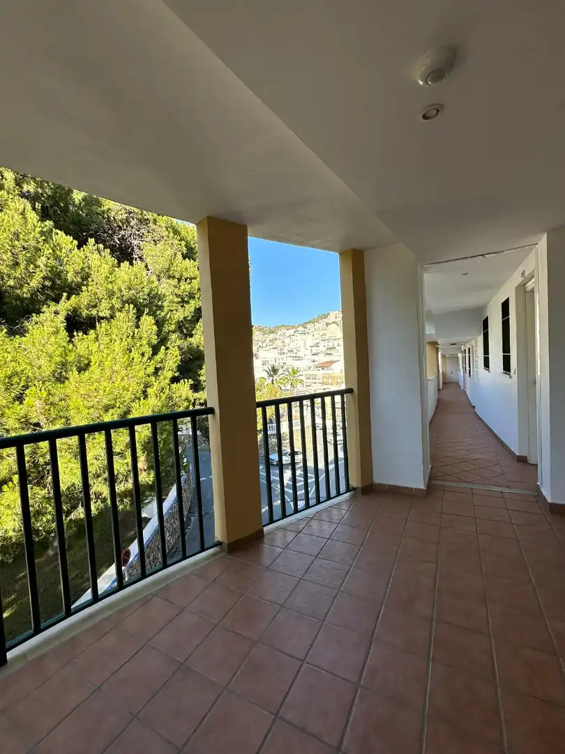 Piso de alquiler en Avenida Prieto Moreno, 11, La Herradura centro