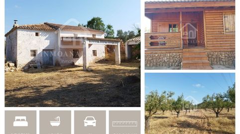 Finca Los Robles, Zona Chirrichana, Cofrentes