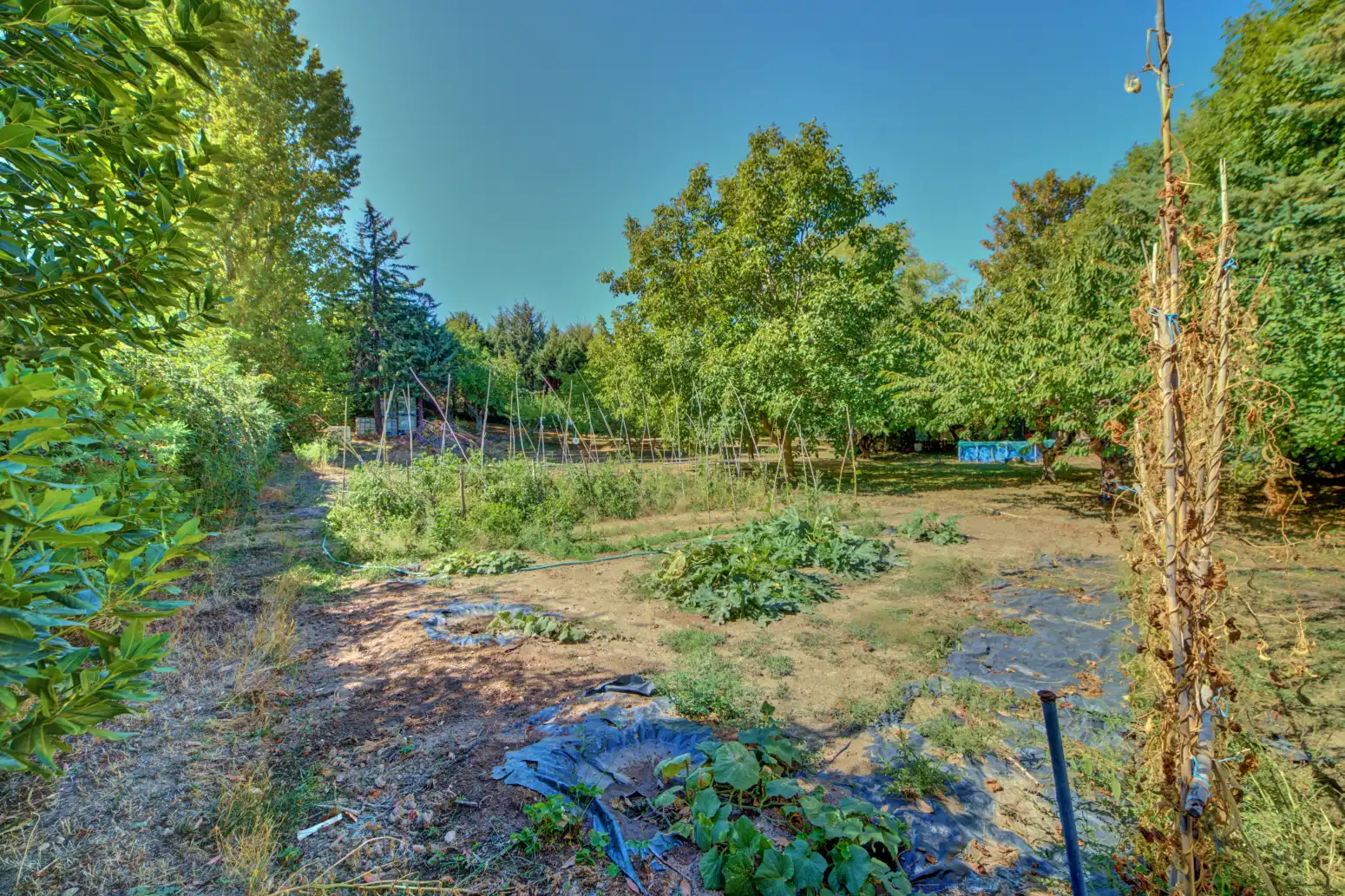 Land for sale in Salinas de Oro / Jaitz
