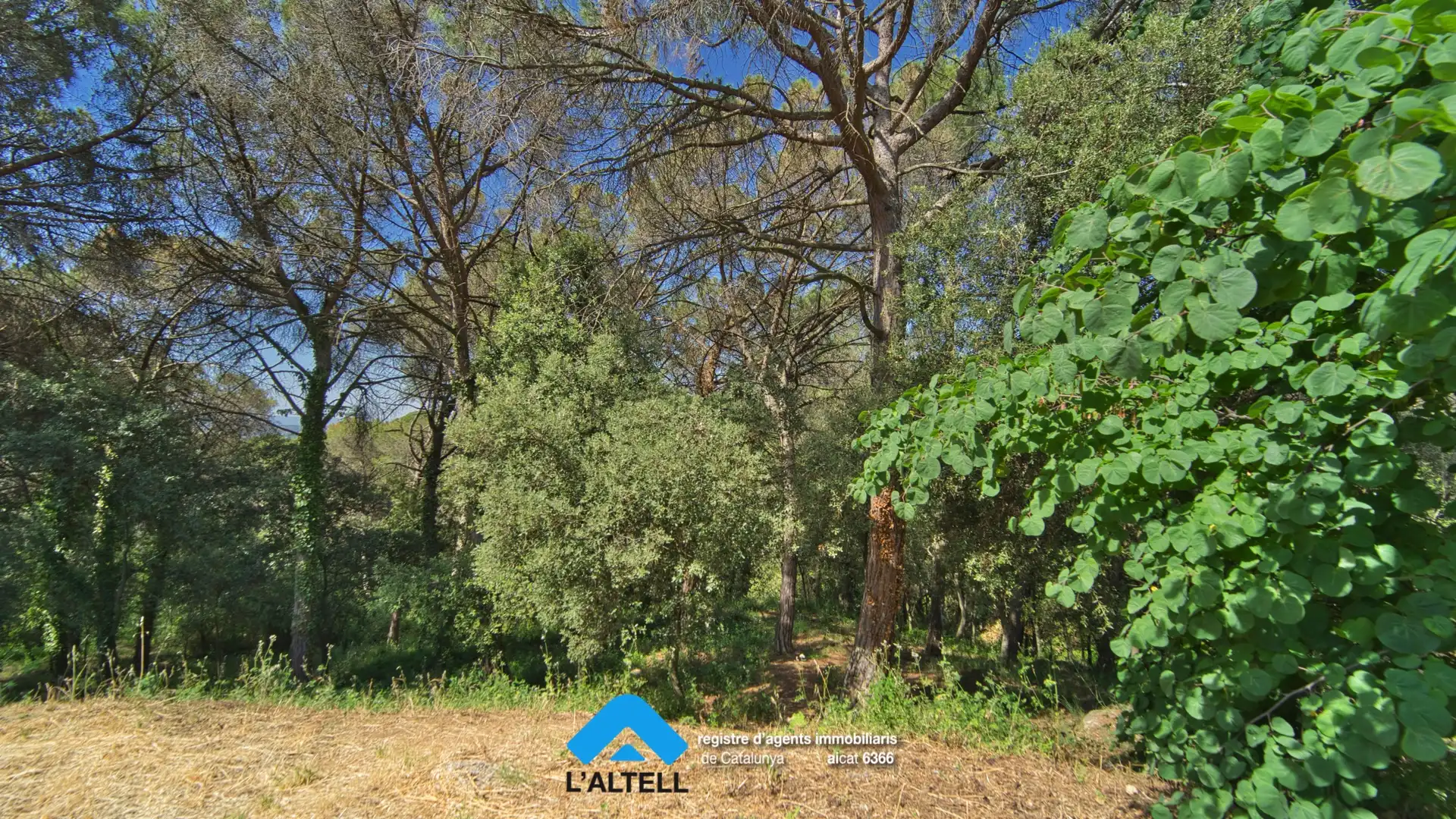 Terrenys i solars en venda a L'Ametlla del Vallès, imagen 15