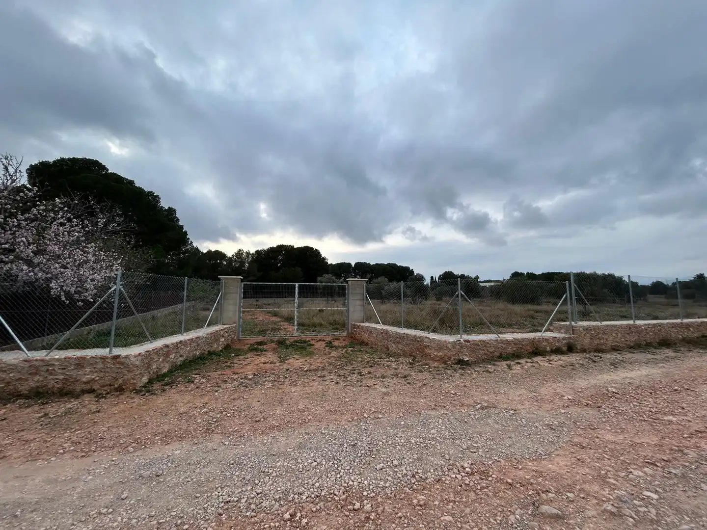 Terreno rustico in vendita a Los Pinares - La Masia, imagen 5