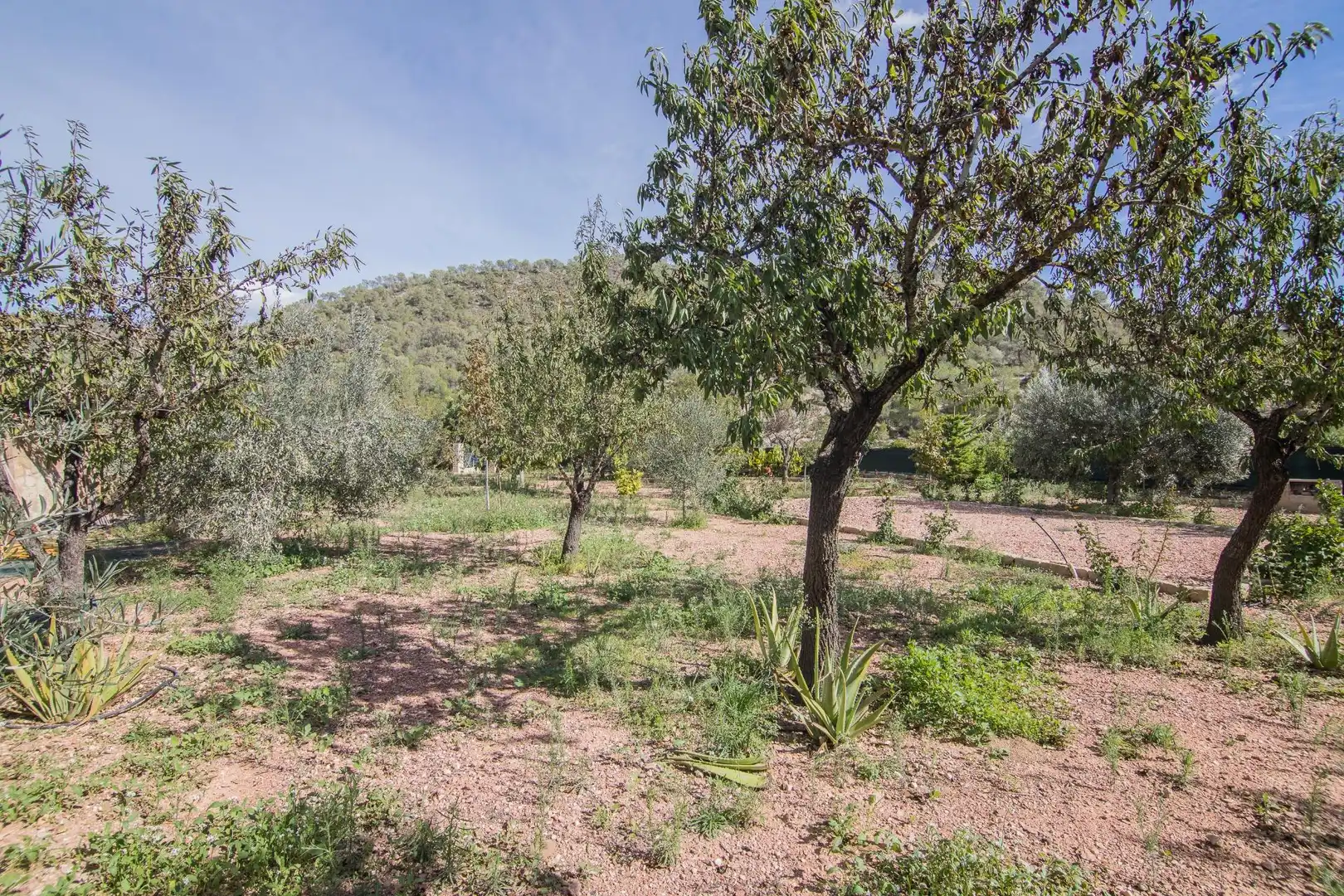 Casa o chalet en venta en Monóvar  / Monòver con Calefacción y Terraza