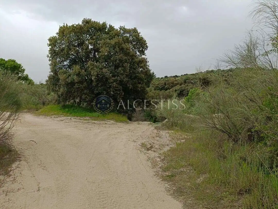 Terreno rústico en venta en Aldea del Fresno, imagen 13