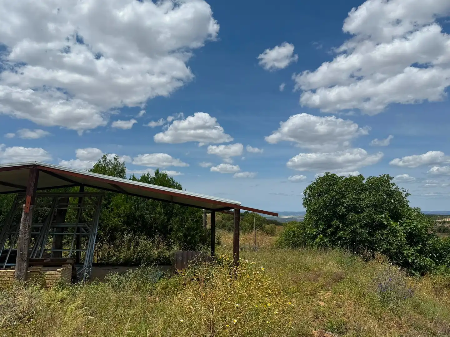 Chalet con piscina en venta en Carretera Olivares, imagen 64