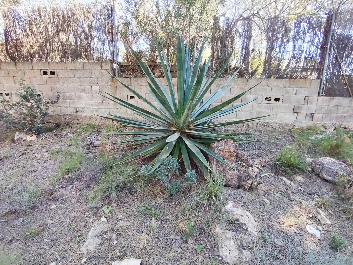 Terreno en venta en Alfara de la Baronia