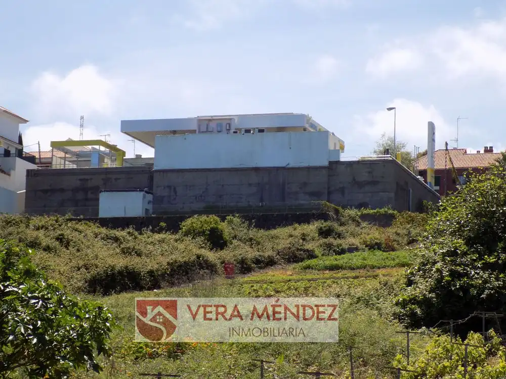 Vista exterior de Finca rústica en venta en El Sauzal