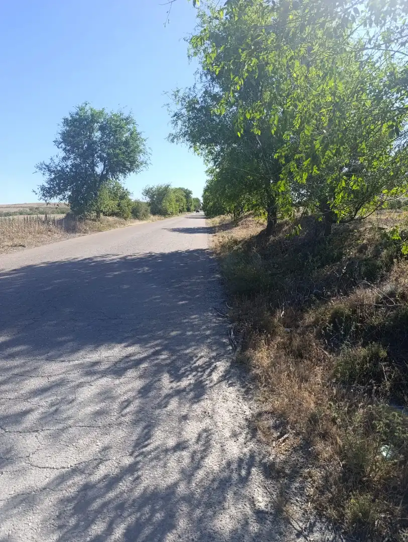 Rural land for sale in N/A, imagen 6