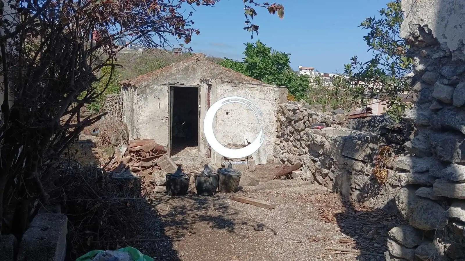 Rural land for sale in Camino la Cueva del Rey, imagen 13