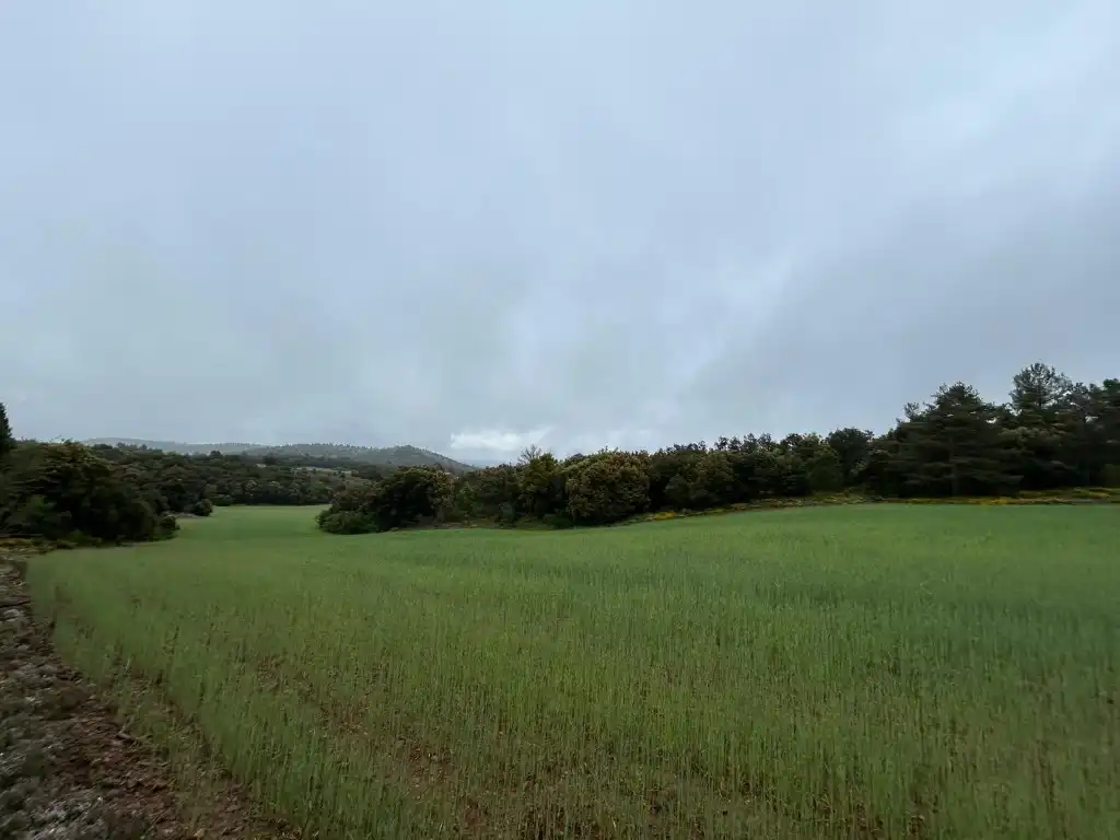 Country homes for sale in El Toro