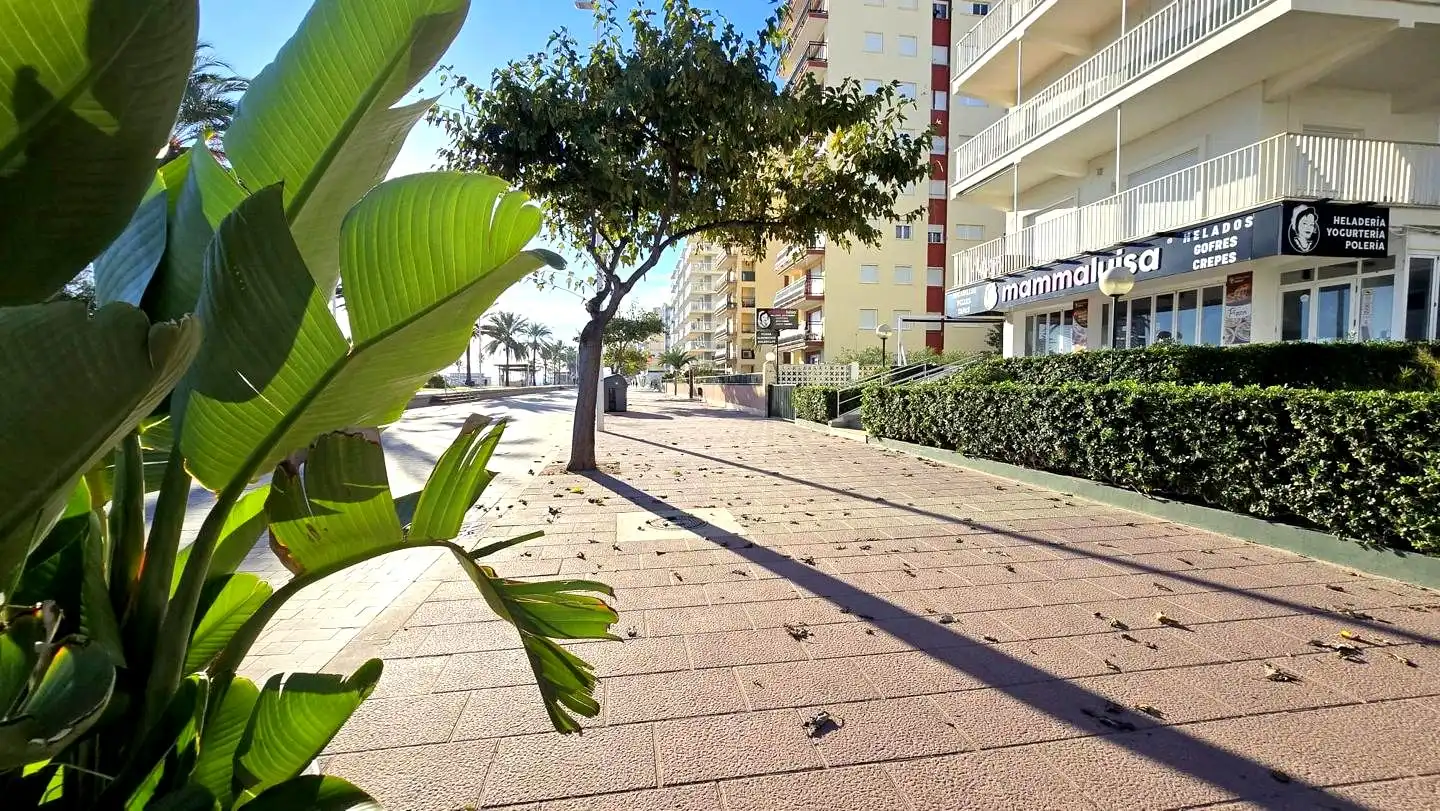 Mini appartamento con ascensore in affitto a Marítim De Neptú 58, imagen 27
