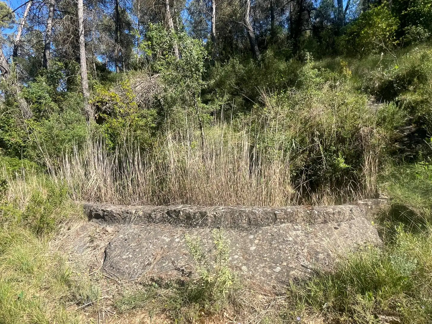 Terreni e lotti in vendita a Arens de Lledó, imagen 6
