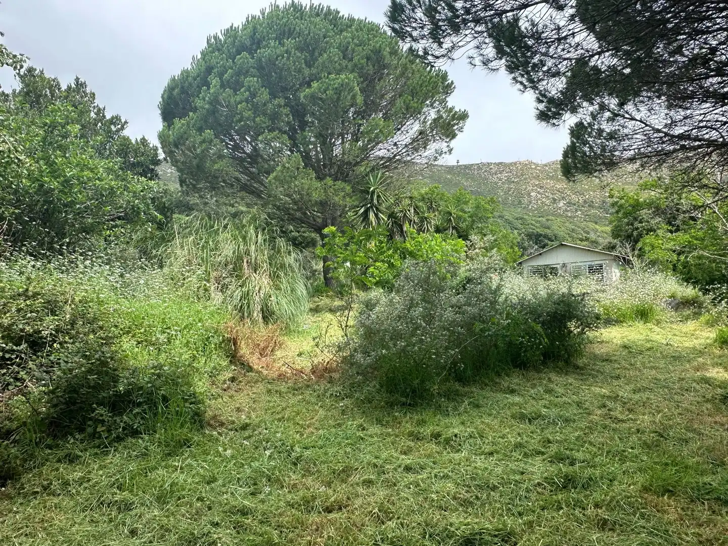 Terrenys i solars en venda a El Cuartón - El Bujeo, imagen 8