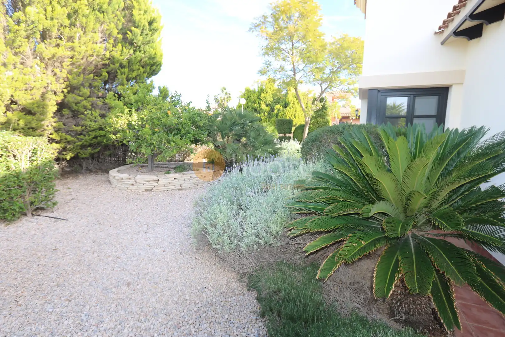 Jardí de Casa o xalet en venda en Fuente Álamo de Murcia amb Aire condicionat, Calefacció i Jardí privat
