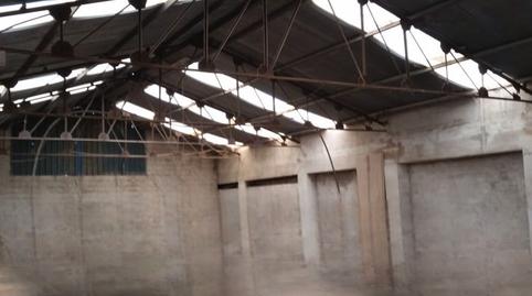 Photo 5 of Industrial land for sale in Partida Sol del Camp, 161, Agost, Alicante