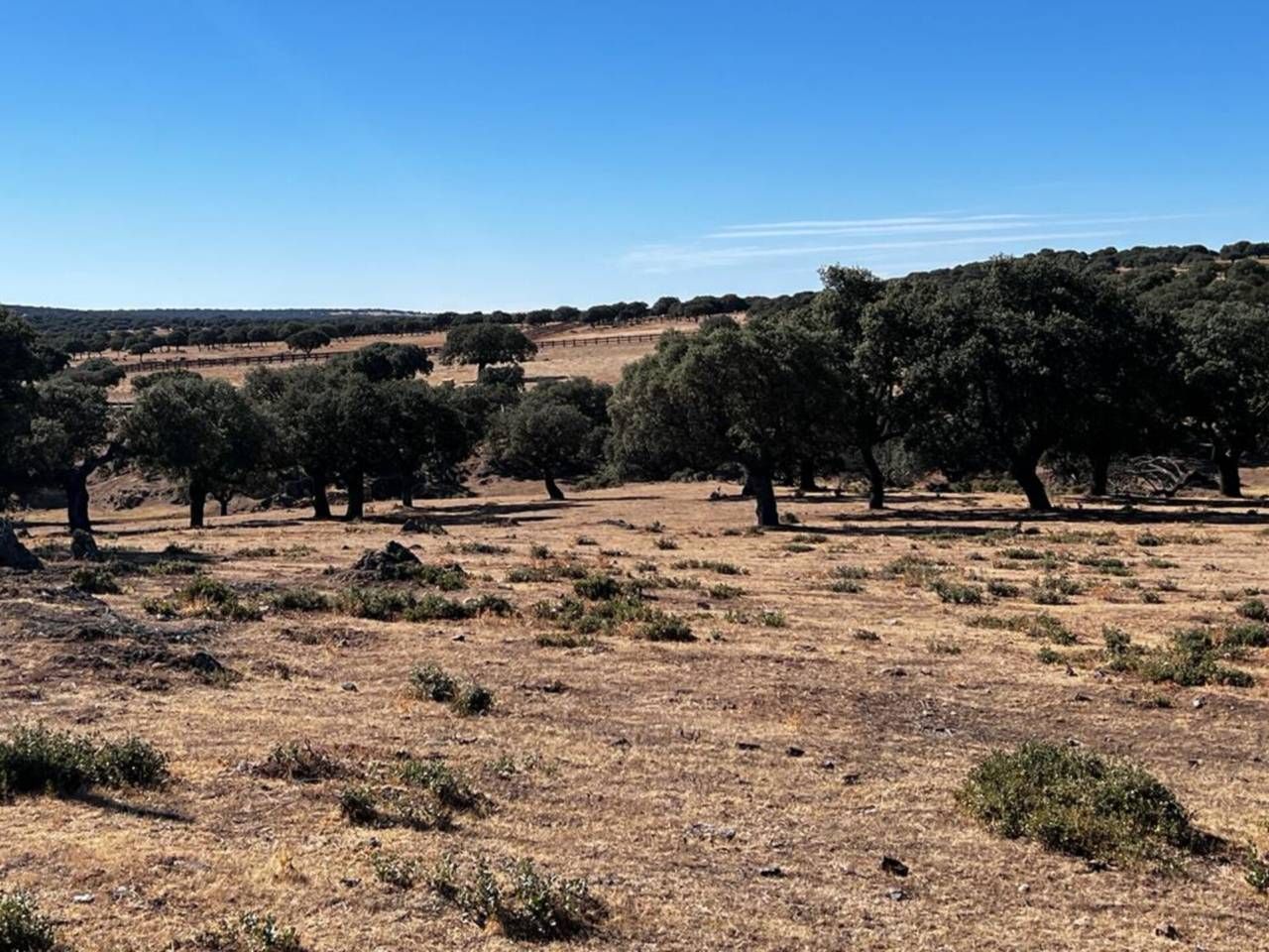 Land for sale in Lumbrales