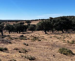 Land for sale in Lumbrales
