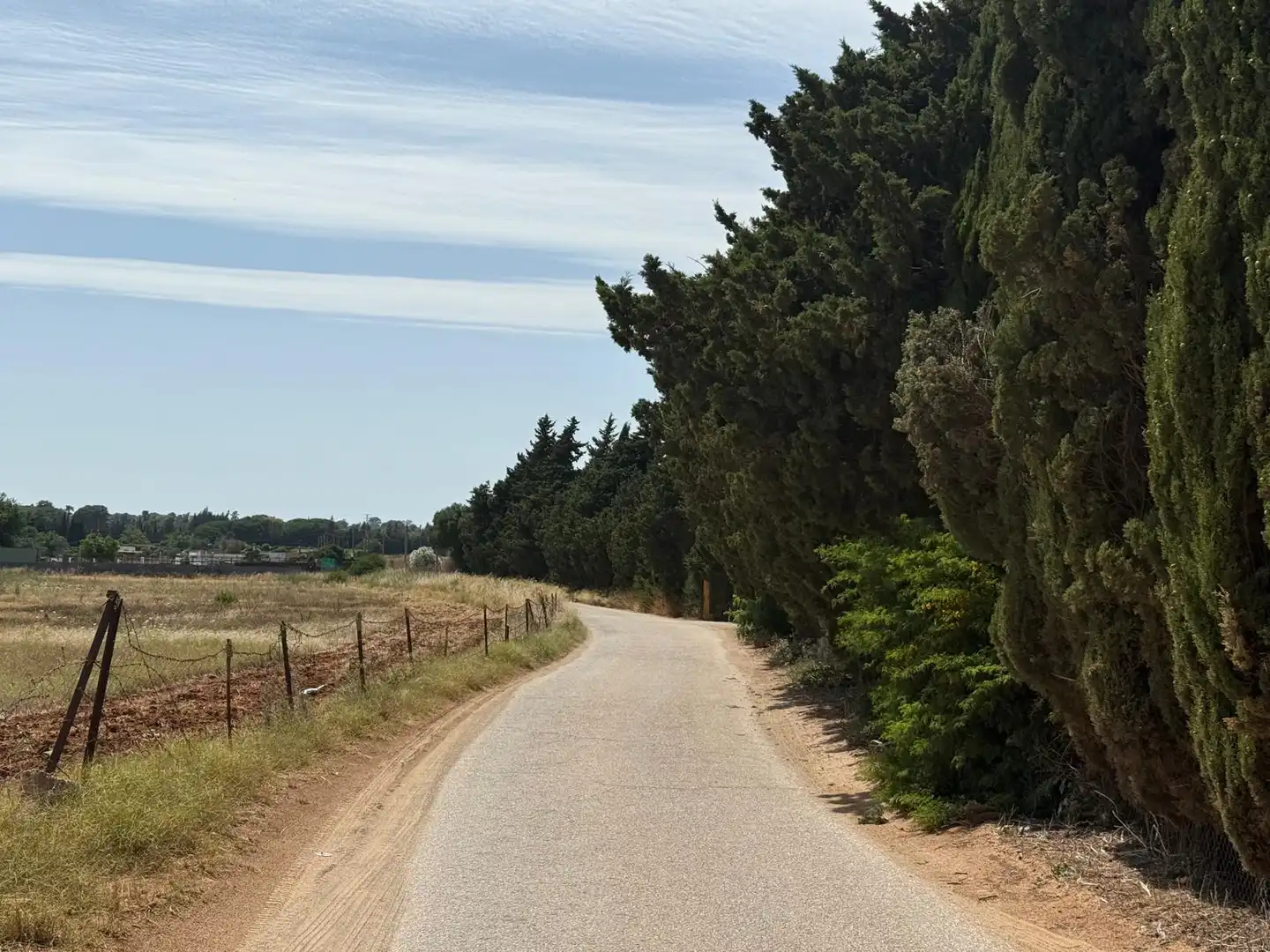 Wohnbaugrundstück zum Verkauf in Camino de Montealegre Alto, imagen 8