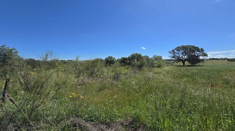 Terreno en venta en Pozoblanco, immagine 2