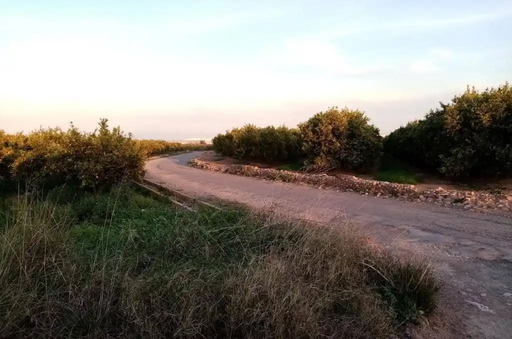 Rustikales Grundstück zum Verkauf in La Vall d'Uixó